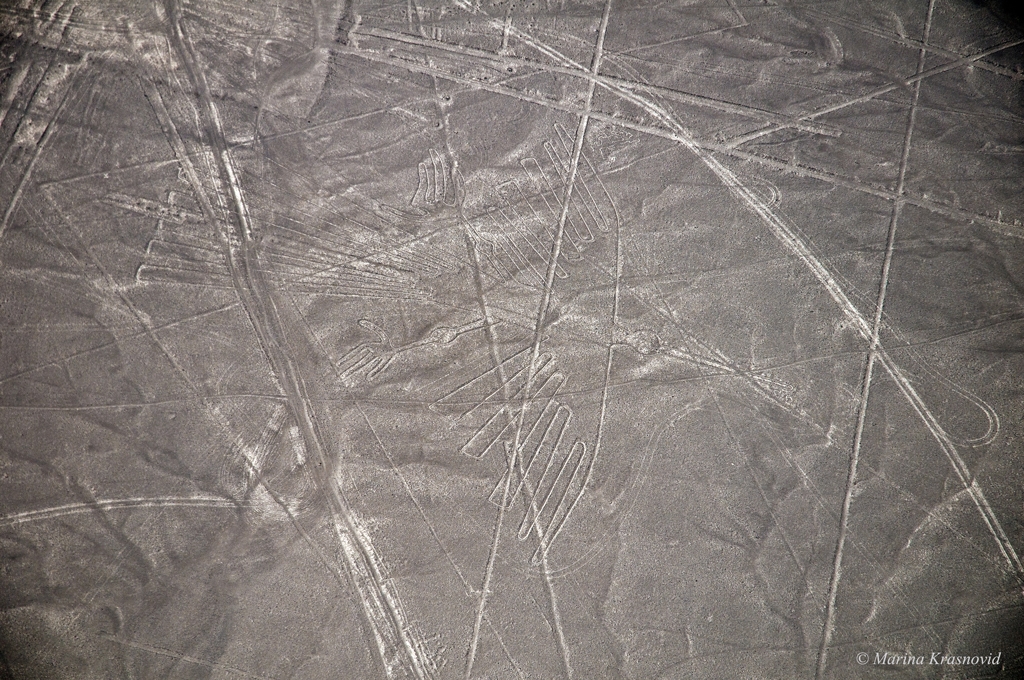 Nazca geoglyphs