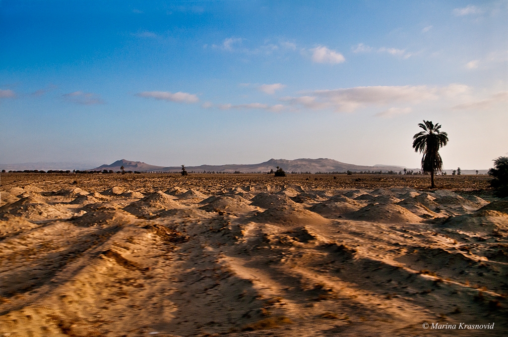 Sand dunes of the Nazca Desert